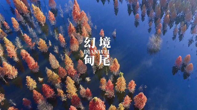 时尚的模特们